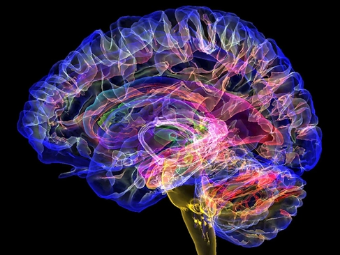 中年人黄色一级视频大脑植入物有助于严重头部损伤恢复